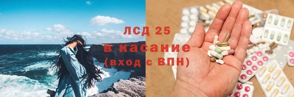 шишки Лагань