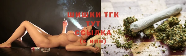 шишки Лагань