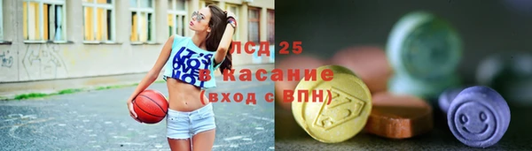 шишки Ладушкин