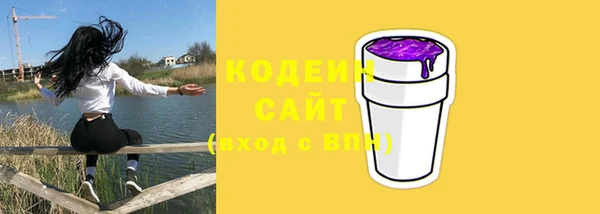 шишки Лагань