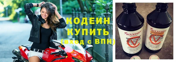 шишки Ладушкин