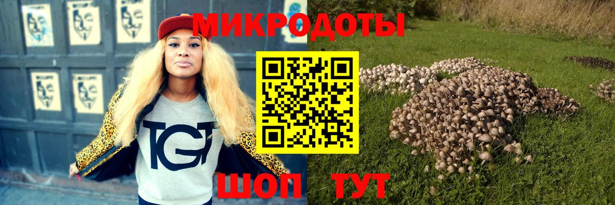 Галлюциногенные грибы Cubensis Тутаев