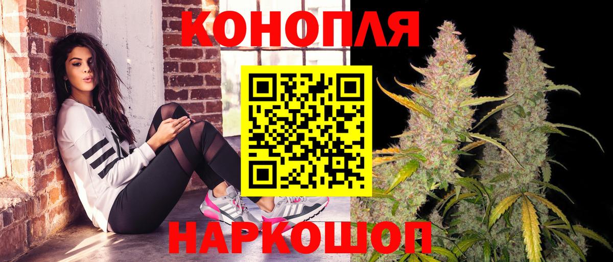 Шишки марихуана сатива  Тутаев  Конопля план  Канабис VHQ 